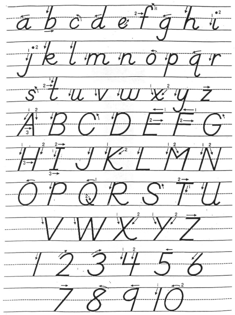 Cursive D nealian Alphabet Download Printable Cursive Alphabet Free  - D'Nealian Cursive Worksheet All Letters