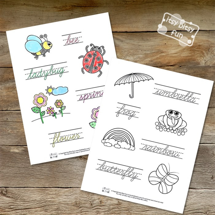 Spring Cursive Writing Worksheets Itsy Bitsy Fun - Spring Cursive Worksheets